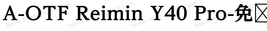 A-OTF Reimin Y40 Pro字体转换
